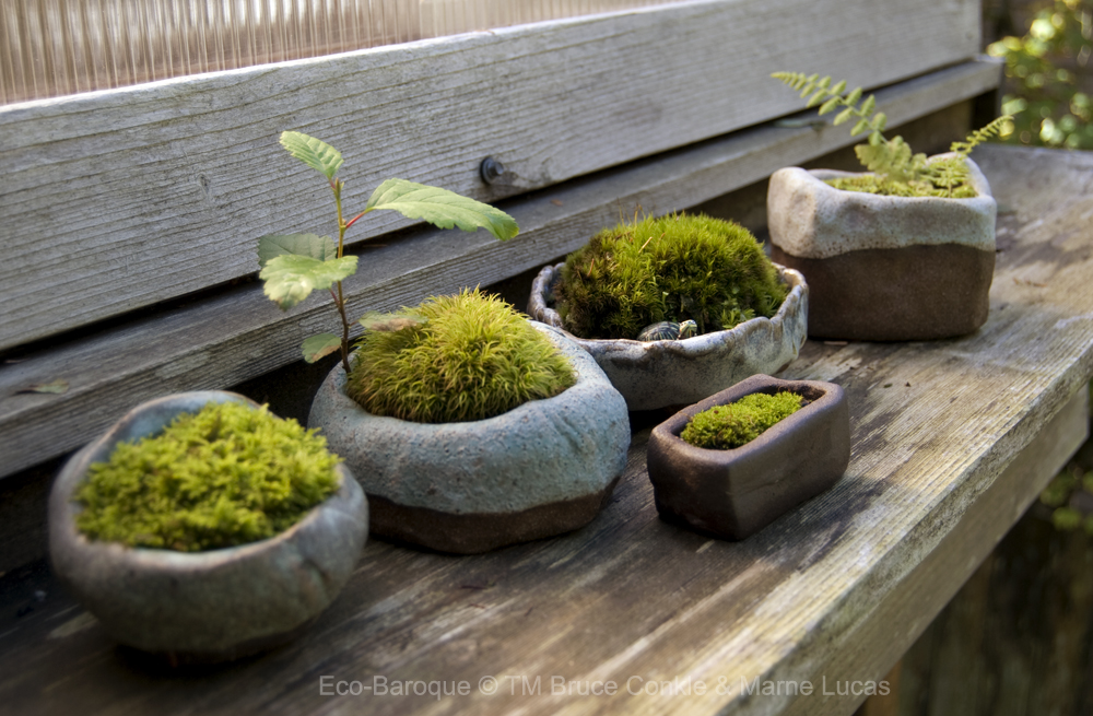 Eco-Baroque Moss Pots